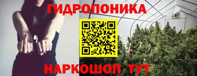 ECSTASY Заводоуковск