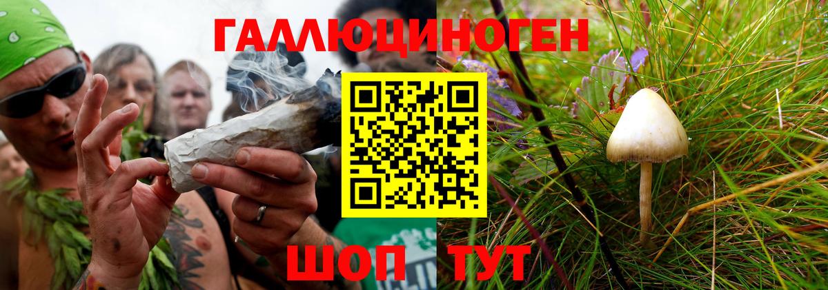 Кунгур  сколько стоит  Вход с VPN  Псилоцибиновые грибы ЛСД 